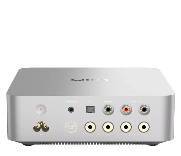 WiiM Vibelink Amp Silver - 1334520 - zdjęcie 2